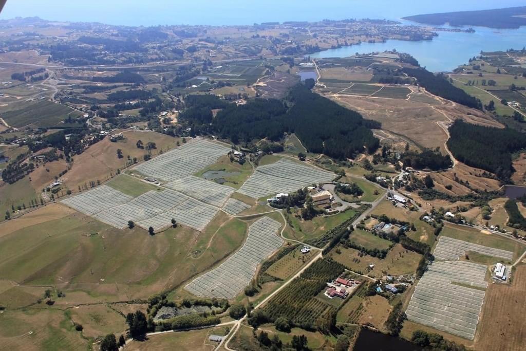 Beech Hill - Pet Friendly Holiday Home Tasman Exterior foto