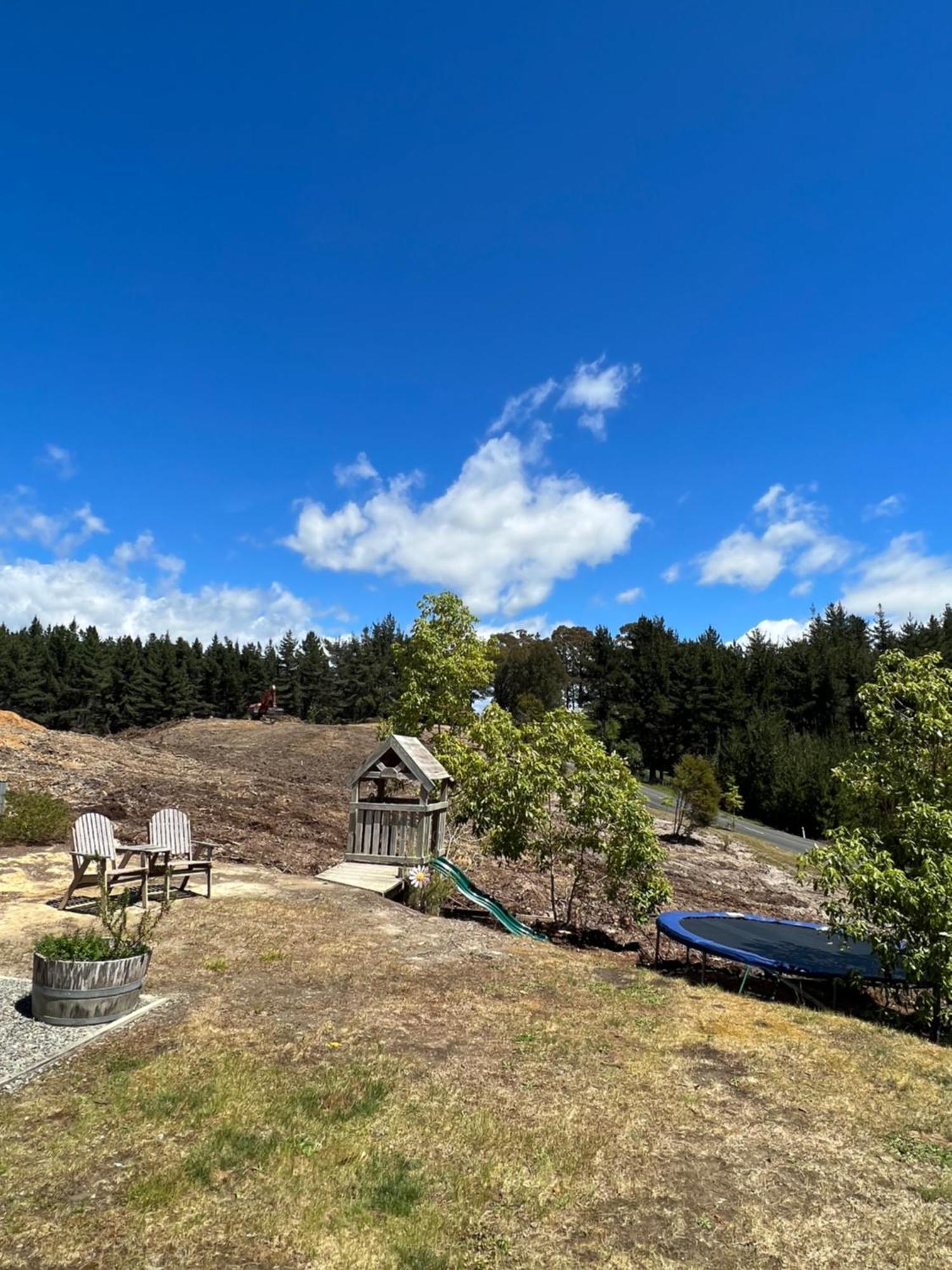Beech Hill - Pet Friendly Holiday Home Tasman Exterior foto